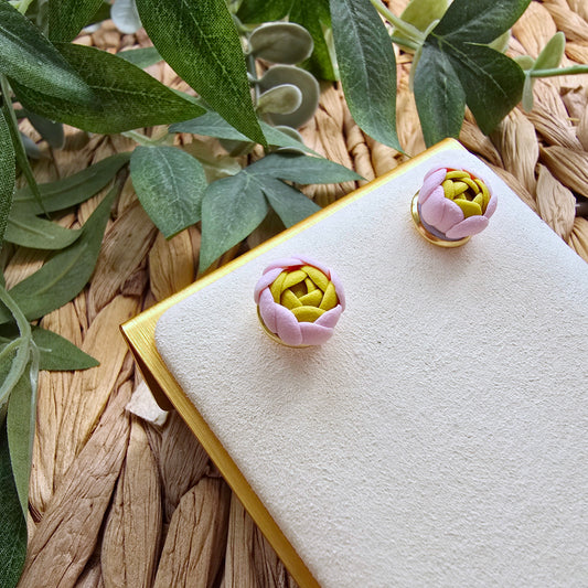 The Ranunculus Collection - Ranunculus Studs